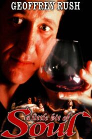 A Little Bit of Soul 1998 one on netflix