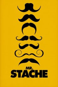 Mr. Stache 2011 one on netflix
