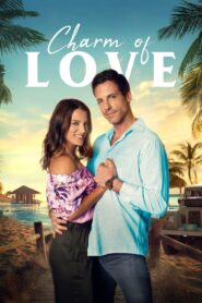 The Charm of Love 2020 one on netflix
