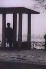 Bus Stop 1995 one on netflix