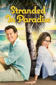 Stranded in Paradise 2014 one on netflix