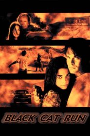 Black Cat Run 1998 one on netflix