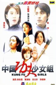 Kung Fu Girls 2003 one on netflix