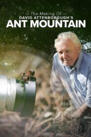 The Making of David Attenborough’s Ant Mountain 2018 one on netflix