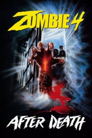 After Death 1990 one on netflix