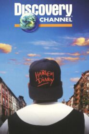 Harlem Diary: Nine Voices of Resilience 1995 one on netflix