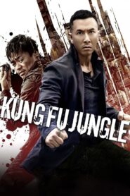 Kung Fu Jungle 2014 one on netflix
