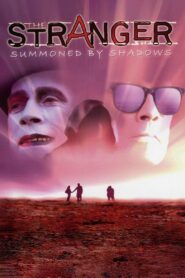 The Stranger: Summoned by Shadows 1991 one on netflix