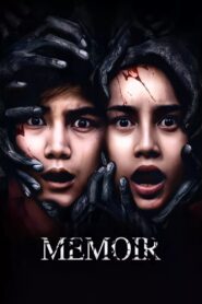 Memoir 2017 one on netflix
