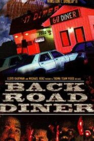 Back Road Diner 1999 one on netflix