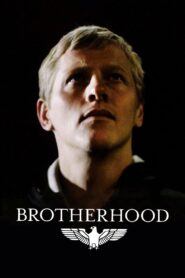 Brotherhood 2009 one on netflix