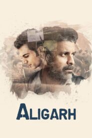 Aligarh 2016 one on netflix