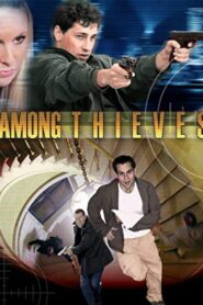 Among Thieves 2009 one on netflix