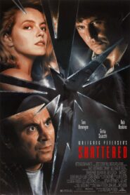 Shattered 1991 one on netflix