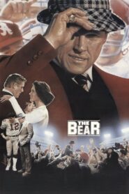 The Bear 1984 one on netflix