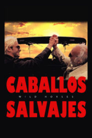 Wild Horses 1995 one on netflix