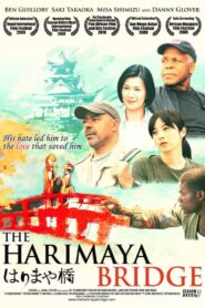 The Harimaya Bridge 2009 one on netflix