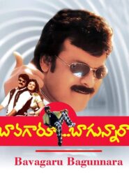 Bavagaru Bagunnara 1998 one on netflix