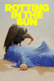 Rotting in the Sun 2023 one on netflix