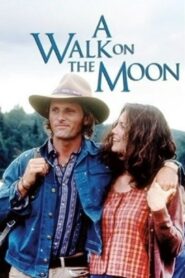 A Walk on the Moon 1999 one on netflix