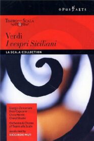 I vespri Siciliani 1990 one on netflix