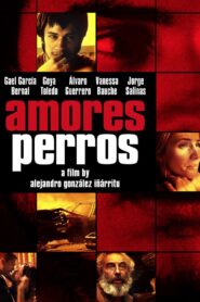 Amores Perros 2000 one on netflix