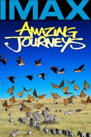 Amazing Journeys 1999 one on netflix