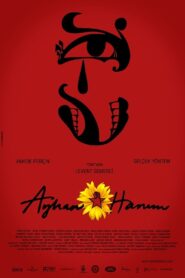 Ayhan Hanım 2014 one on netflix