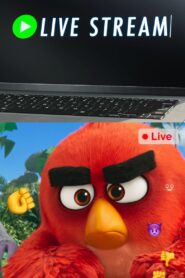 Angry Birds: Live Stream 2019 one on netflix