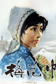 The Plum Flower Embroidery 1980 one on netflix