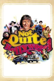 Not Quite Hollywood 2008 one on netflix