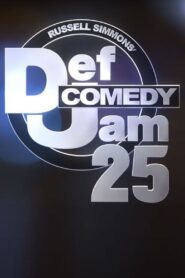 Def Comedy Jam 25 2017 one on netflix