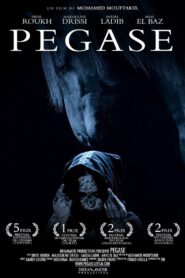 Pegasus 2010 one on netflix