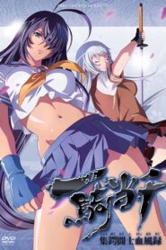 Ikki Tousen in Kyoto 2011 one on netflix