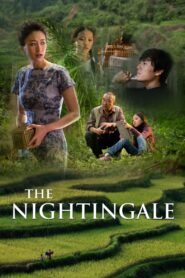 The Nightingale 2014 one on netflix