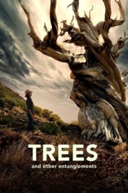 Trees and Other Entanglements 2023 one on netflix