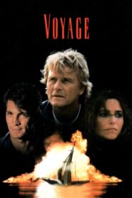 Voyage 1993 one on netflix