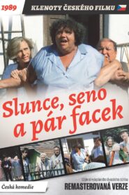 Sun, Hay and a Couple of Slaps 1989 one on netflix