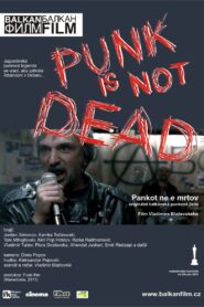 Punk’s Not Dead 2011 one on netflix