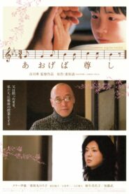 Aogeba Tôtoshi 2006 one on netflix