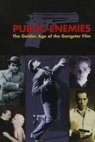 Public Enemies: The Golden Age of the Gangster Film 2008 one on netflix