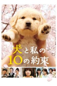 10 Promises to My Dog 2008 one on netflix