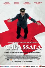 Embassy 2013 one on netflix