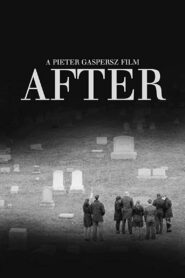 After 2014 one on netflix