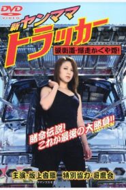 New Young Mama Trucker: Road of Tears — Kaguya-hime on a Wild Run!” 2002 one on netflix