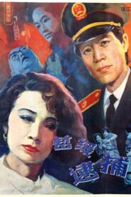 暂缓逮捕 1988 one on netflix