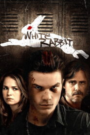 White Rabbit 2013 one on netflix