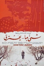 Something Is Burning 1993 one on netflix