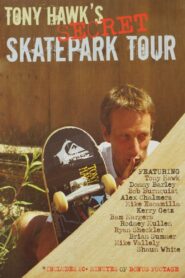 Tony Hawk’s Secret Skatepark Tour 2004 one on netflix