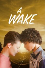 A Wake 2019 one on netflix